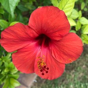 Meet your Posher, Sam